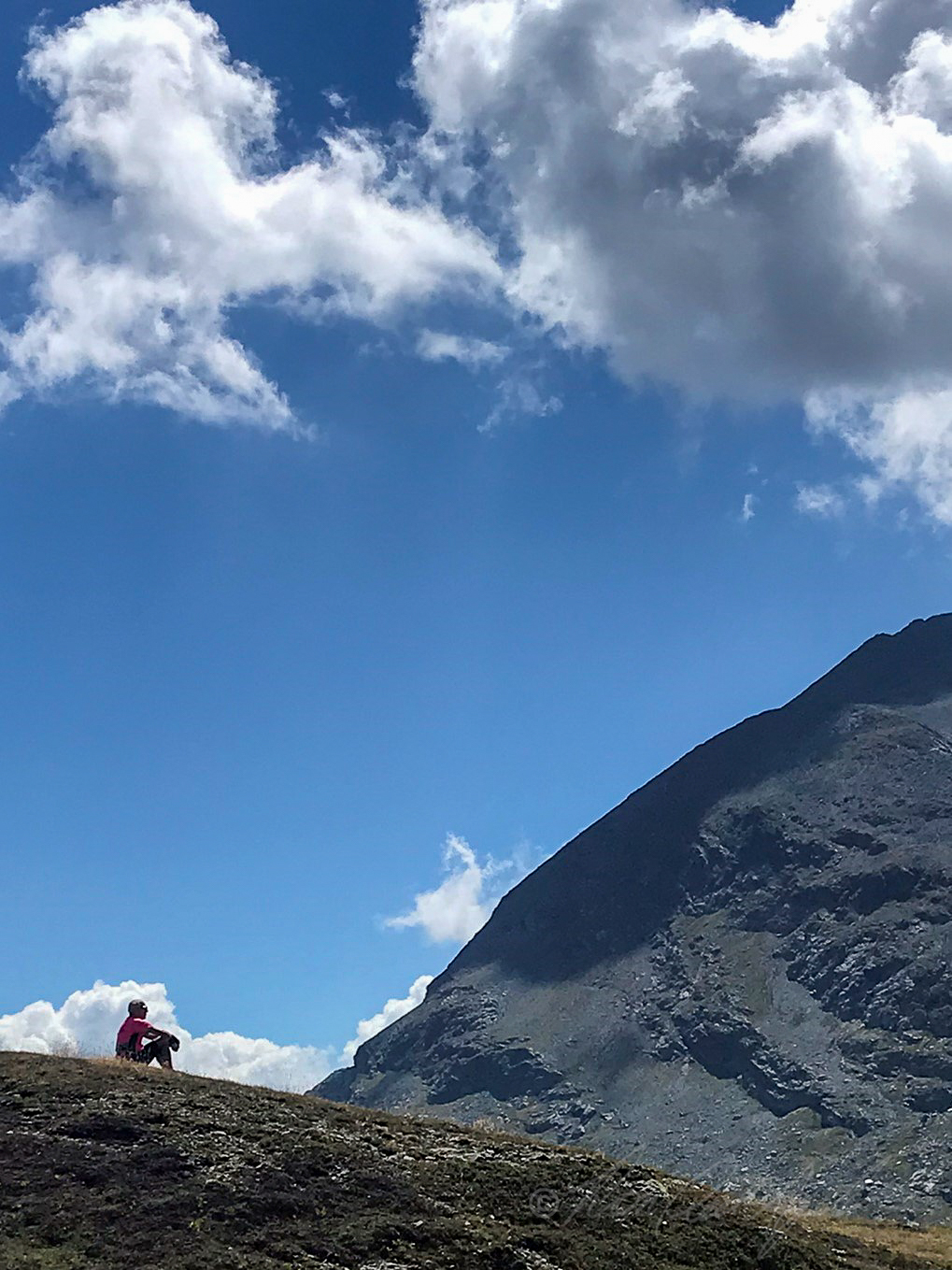 Taking it all in - Swiss Alps.jpg
